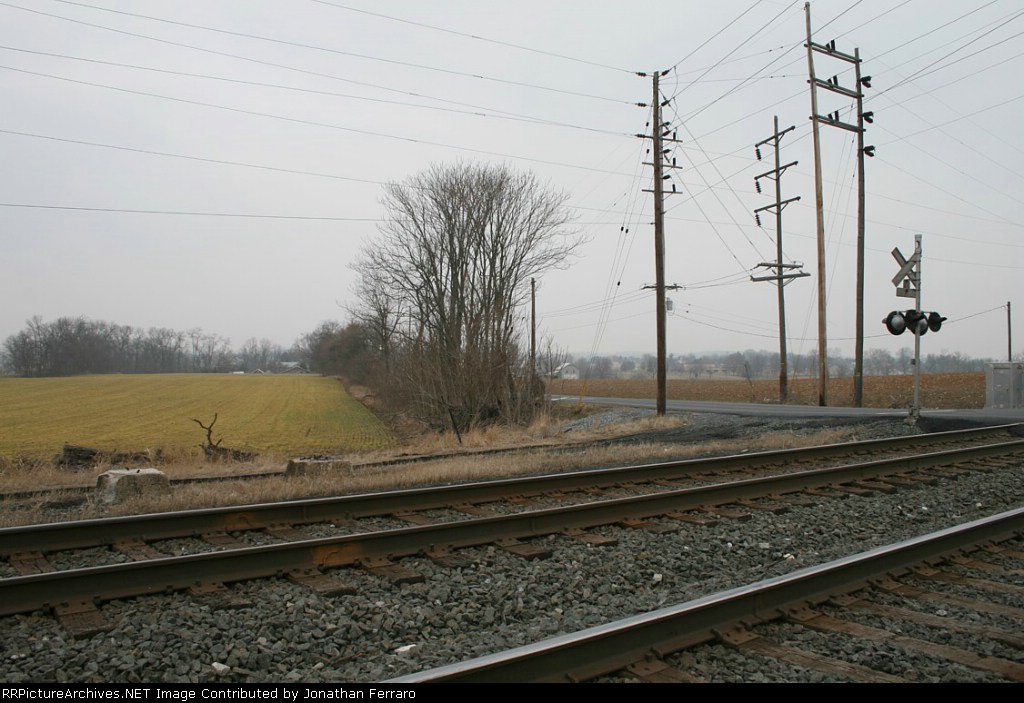 Signal Bridge Foundation